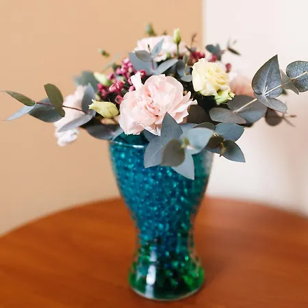 Bed & Breakfast Plaza 3*